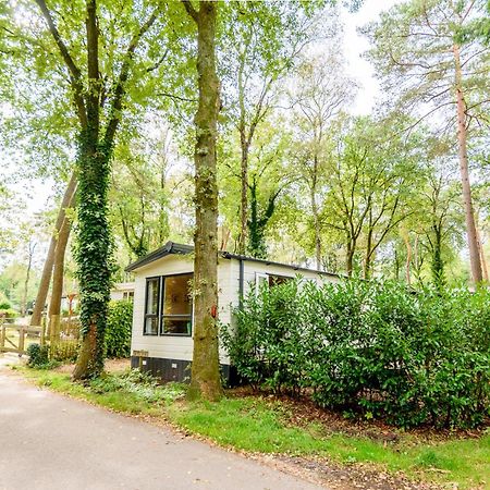 Veluwe Chalet Aan Het Bos - Kids - Pool - Dog Hoenderloo Eksteriør bilde